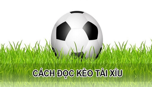 Phân tích phong độ và lối chơi