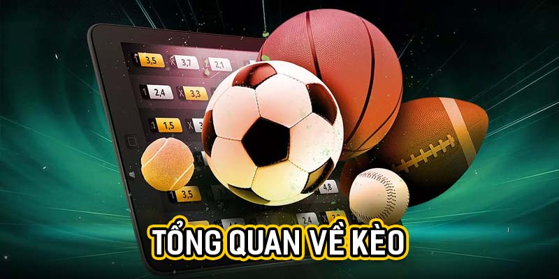 Kèo Cá Cược Bóng Đá 789win